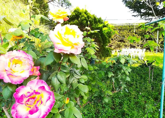 Maddalena Elegance, Nature Relaxation Just 1 Km From Otranto Вілла Аліміні