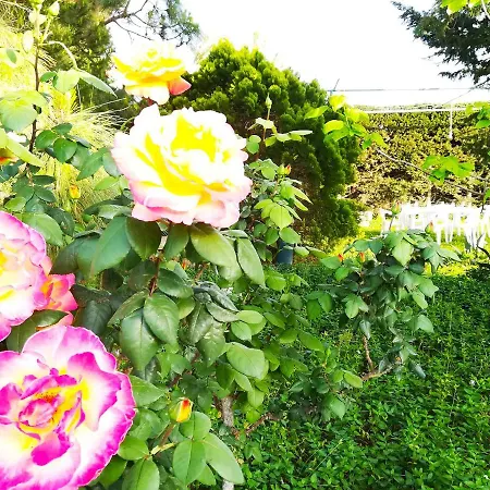 Maddalena Elegance, Nature Relaxation Just 1 Km From Otranto ヴィラ アリミニ